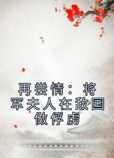 《再尝情：将军夫人在敌国做俘虏》免费试读 姜湄叶桓小说章节目录